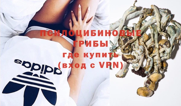 круглые Абаза
